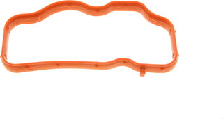 Solgy 113014
