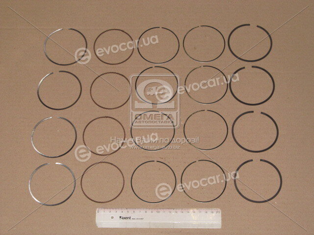 TP 33937-100
