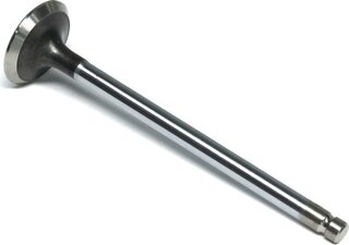 Gunes 6909