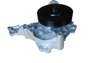 Dayco DP383