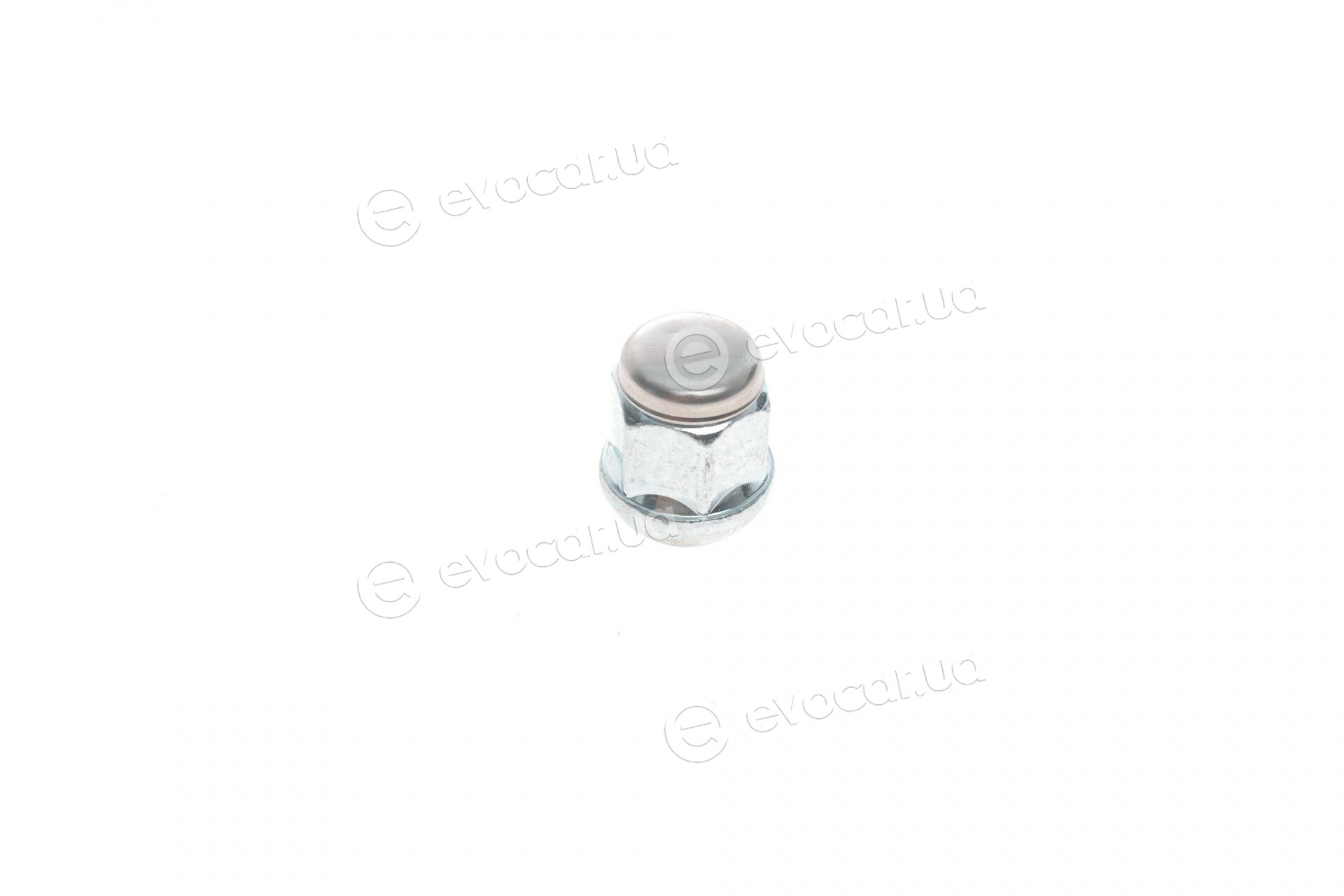 Blue Print ADBP780052