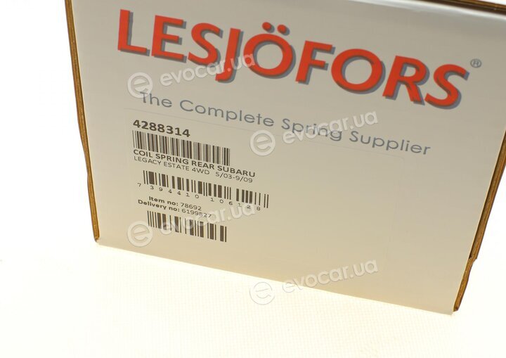 Lesjofors 4288314