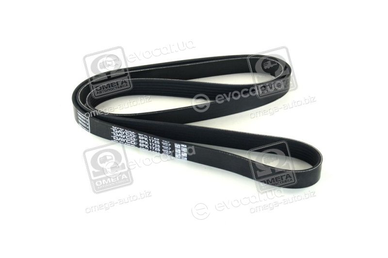 Dayco 6PK1725