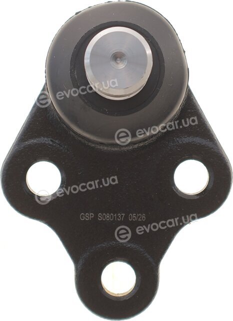 GSP S080137