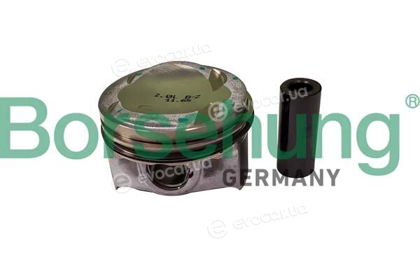 Borsehung B11150