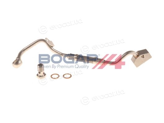 Bogap B1729109