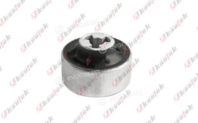 Kautek TS-BS006