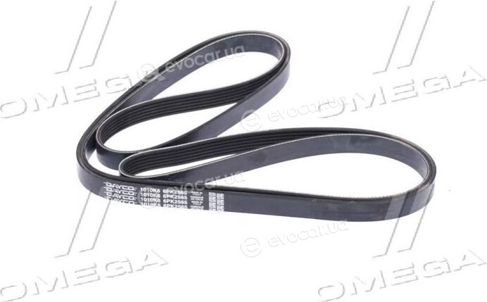 Dayco 6PK2565