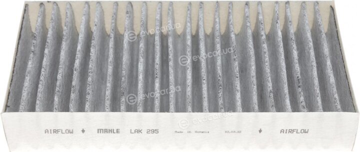 Mahle LAK 295/S