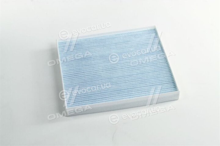 Blue Print ADG02587