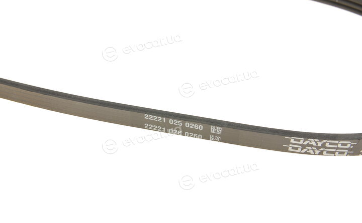 Dayco 3PK800