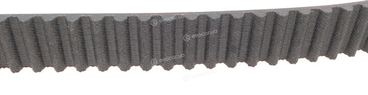 Dayco KTB966