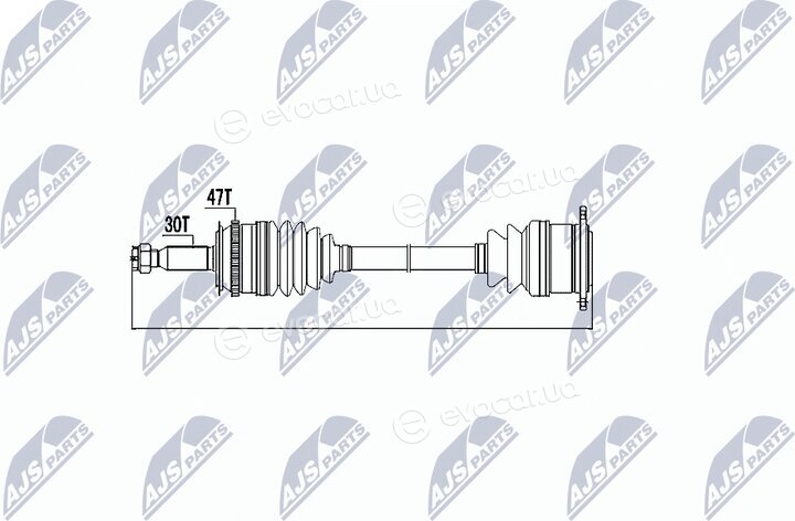 NTY NPW-MS-001