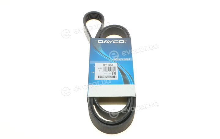 Dayco 6PK1755