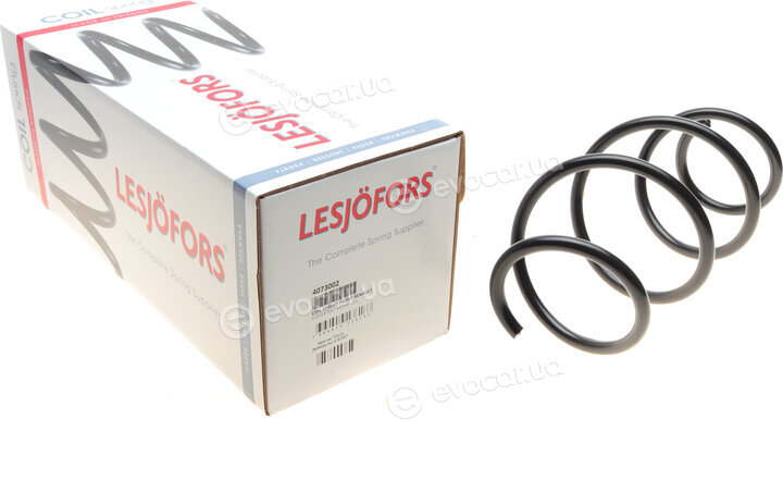 Lesjofors 4073002