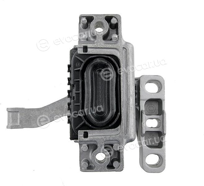 NTY ZPS-VW-036