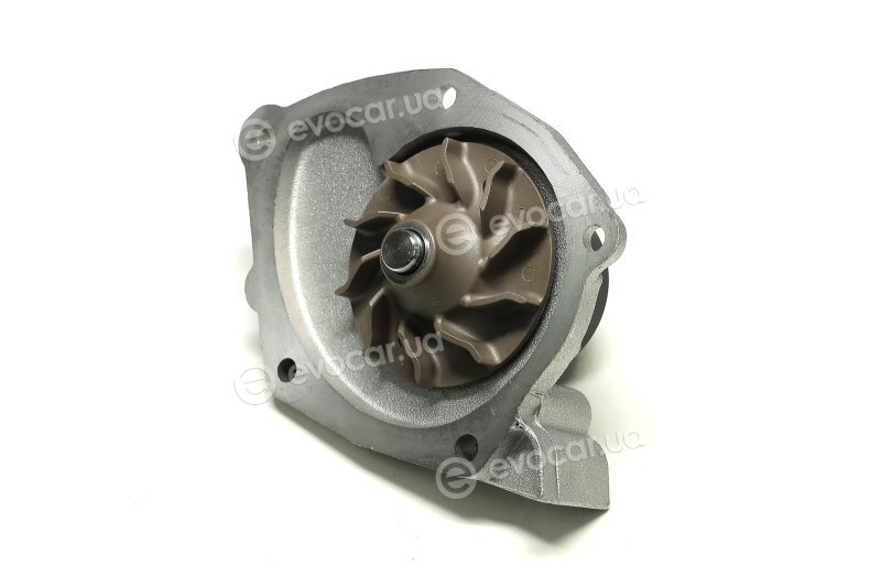 Dolz R229