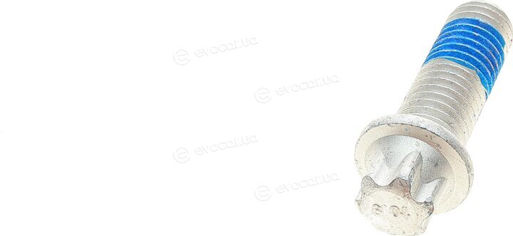 Solgy 216164