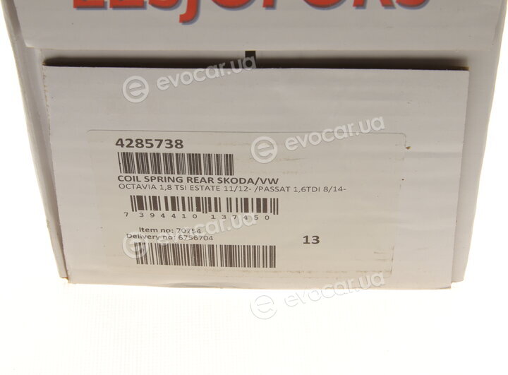 Lesjofors 4285738