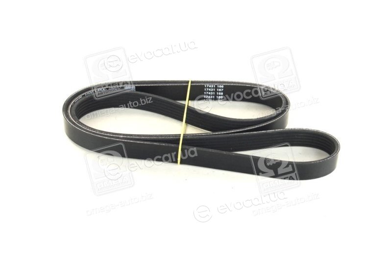 Dayco 6PK1655