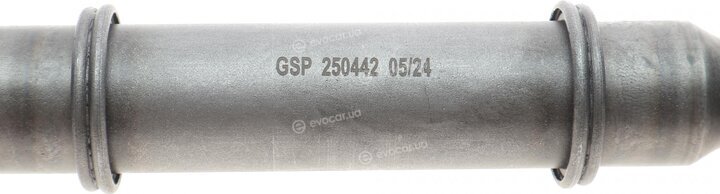 GSP 250442