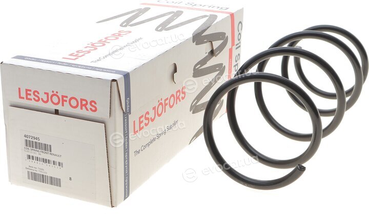 Lesjofors 4072945