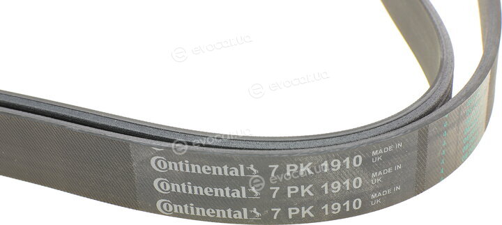 Continental 7PK1910