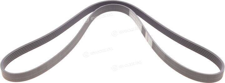 Continental 6PK1605