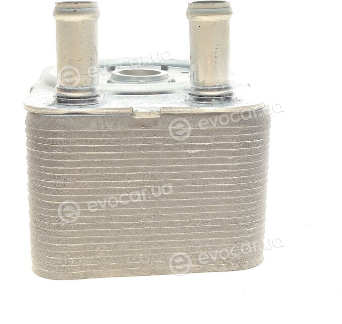 Van Wezel 58003093