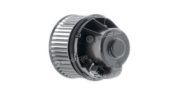 Mahle AB 243 000P
