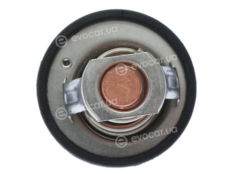 Starline TS T117.82T