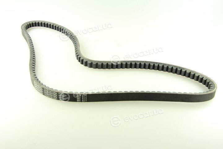 Dayco 17A1310HD