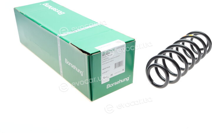 Borsehung B12622