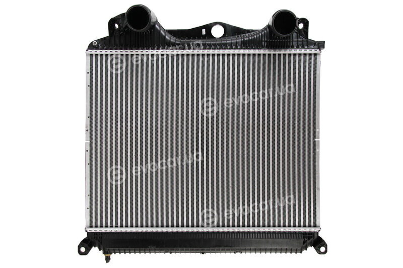 Mahle CI 119 000P