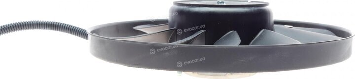 AIC 50843