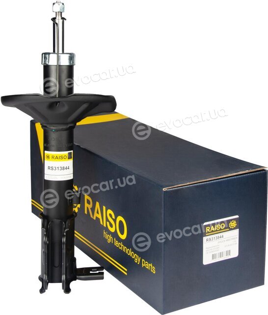 Raiso RS313844
