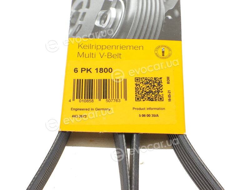 Continental 6PK1800