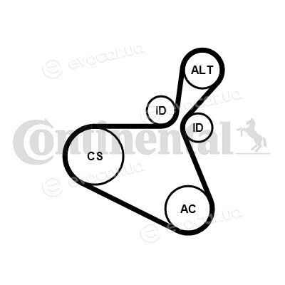 Continental 6PK1179 EXTRA K1