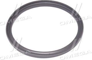 Renault / Nissan 8201089107