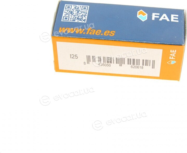 FAE 33035