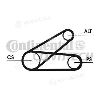 Continental 6PK873 ELAST T1