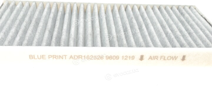 Blue Print ADR162526