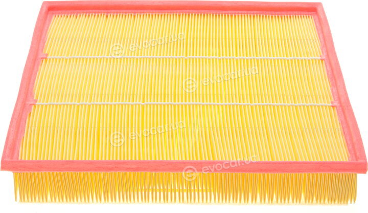 Solgy 103065