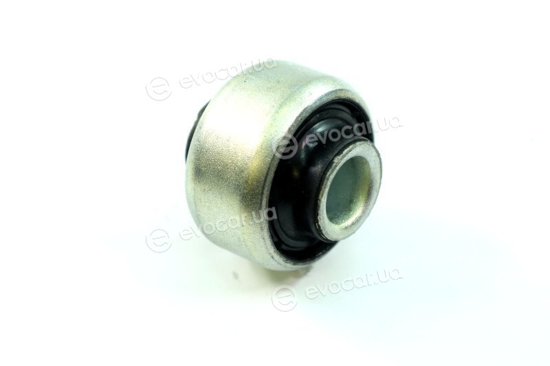 Sasic 2250022