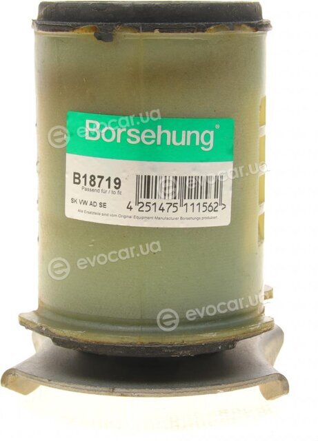 Borsehung B18719