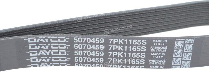Dayco 7PK1165S