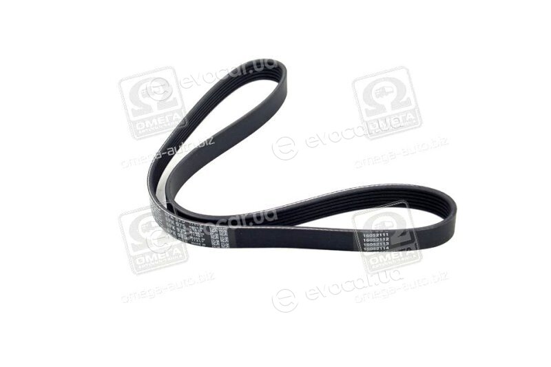 Dayco 6PK975