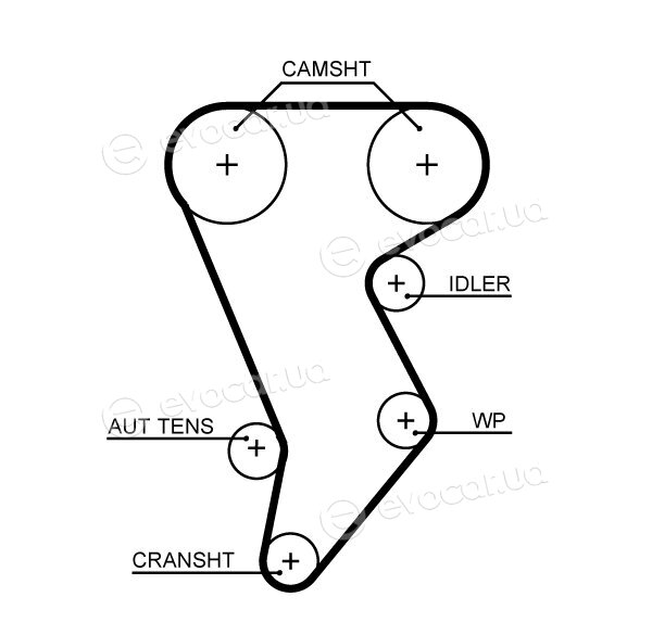 Gates K015668XS