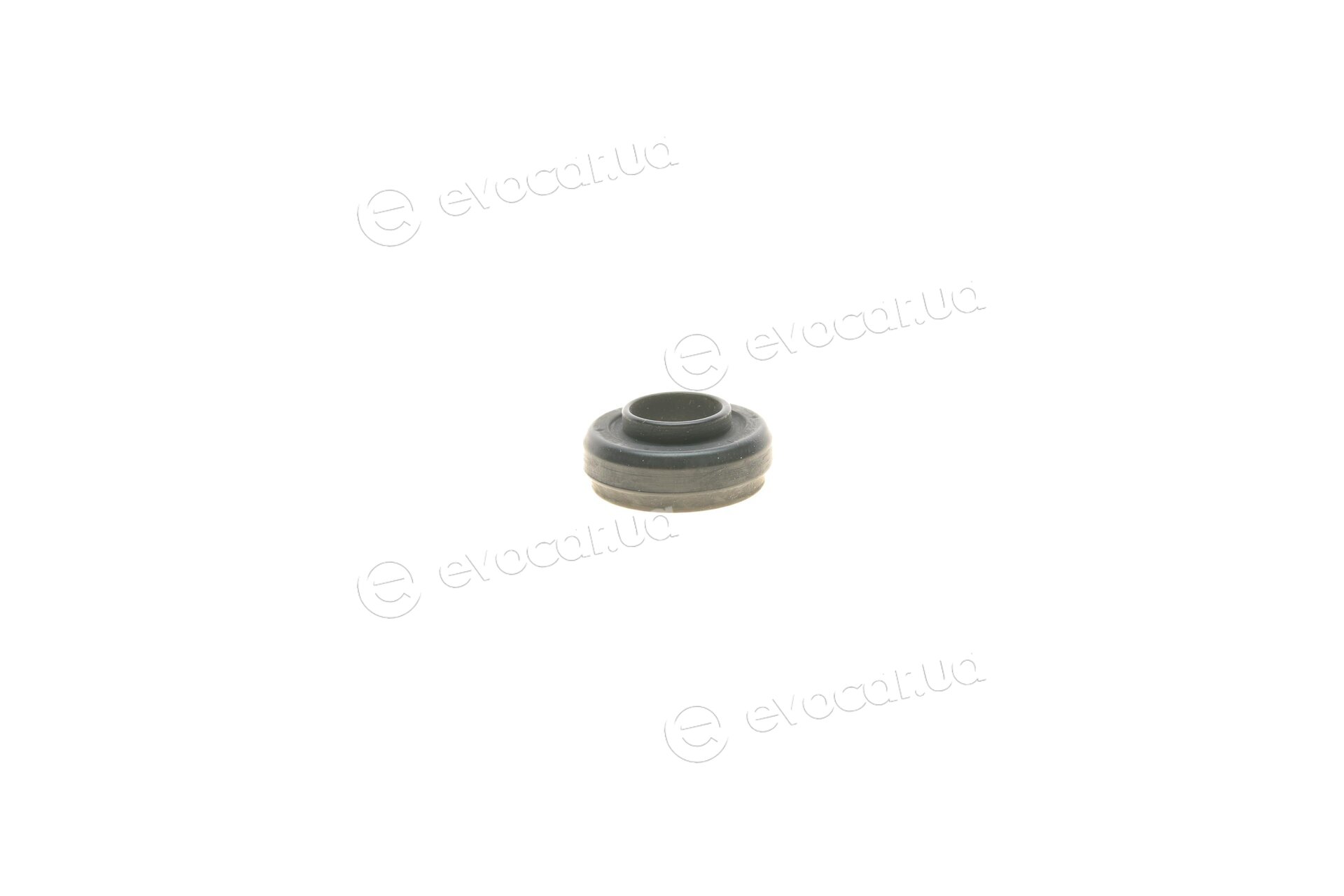 Elring 560.490