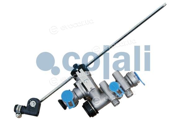 Cojali 2214413